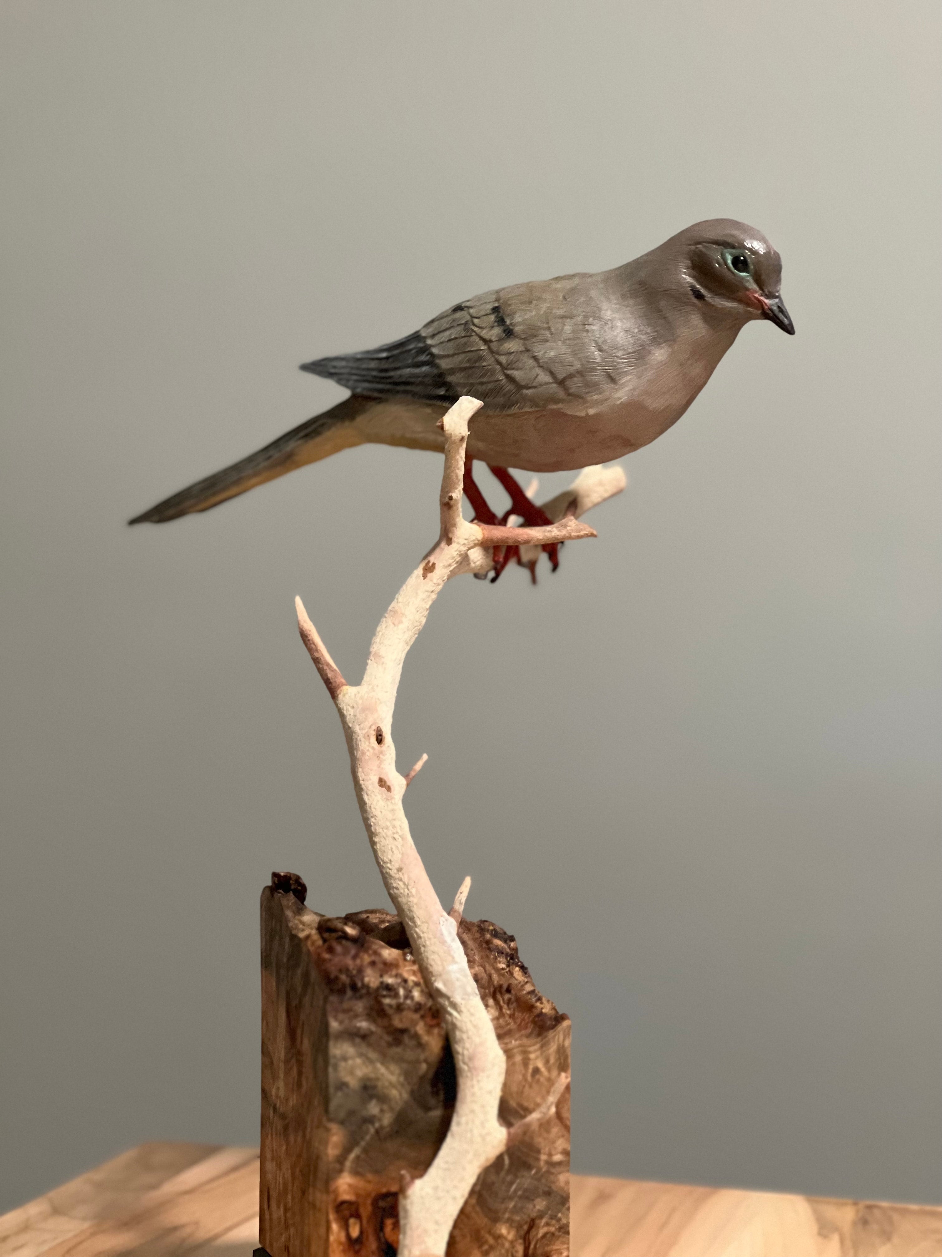 Mourning Dove | JPW Woodcarving