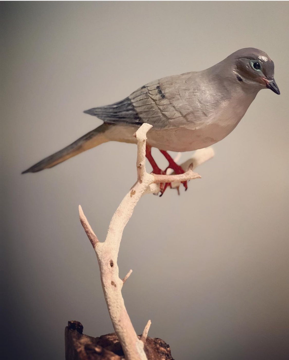 Mourning Dove | JPW Woodcarving